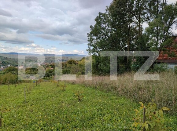 Teren de vânzare Cojocna - 150922TV | BLITZ Cluj-Napoca | Poza2