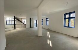 Cladire in stil Baroc, in Piata Muzeului spatiu la etaj cu acces din strada