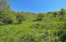 Teren de vanzare 5800 mp, front 32 ml, in zona de case Dezmir