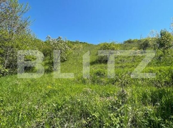 Teren de vânzare Dezmir - 150932TV | BLITZ Cluj-Napoca | Poza1