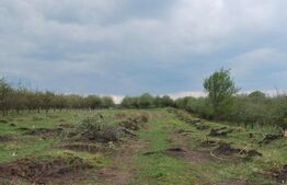 Exclusiv! Oportunitate! Teren extravilan, 3100 mp, panorama, Feleacu