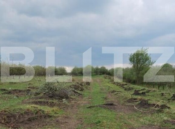 Teren de vânzare Feleacu - 150935TV | BLITZ Cluj-Napoca | Poza1