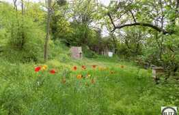 Apartamentul cu aer vintage intr-o structurare moderna! Zona centrala!