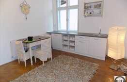 Apartamentul cu aer vintage intr-o structurare moderna! Zona centrala!