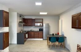 Apartament 2 camere proaspăt renovat, 64 mp, zona Platinia/Semi centrala