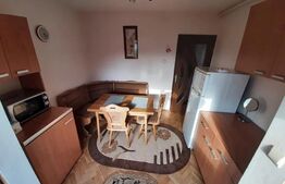 Apartament 1 camera, 28mp, zona strazii Dambovitei, cartier Marasti 