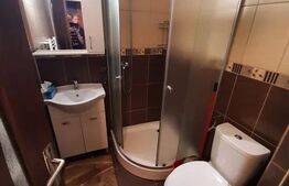 Apartament 1 camera, 28mp, zona strazii Dambovitei, cartier Marasti 