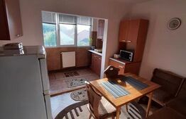 Apartament 1 camera, 28mp, zona strazii Dambovitei, cartier Marasti 