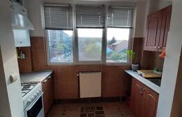 Apartament 1 camera, 28mp, zona strazii Dambovitei, cartier Marasti 