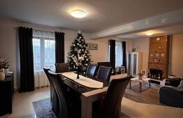 Casa de vanzare Podul Olt, zona centrala deosebita