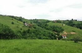 Teren, 12.928 mp, Poiana Mărului, Brașov