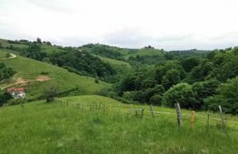 Teren, 12.928 mp, Poiana Mărului, Brașov