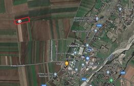 Teren extravilan 12000mp, pretabil investitie, Tarlungeni