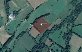 Teren pretabil investitie, constructie turism, 4400mp, zona Bran Tohanita 