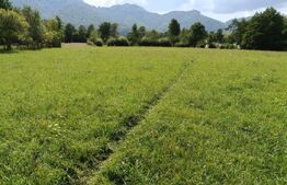 Teren pretabil investitie, constructie turism, 4400mp, zona Bran Tohanita 