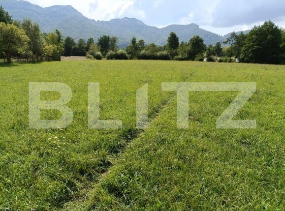 Teren de vânzare Zarnesti - 151037TV | BLITZ Brașov | Poza2