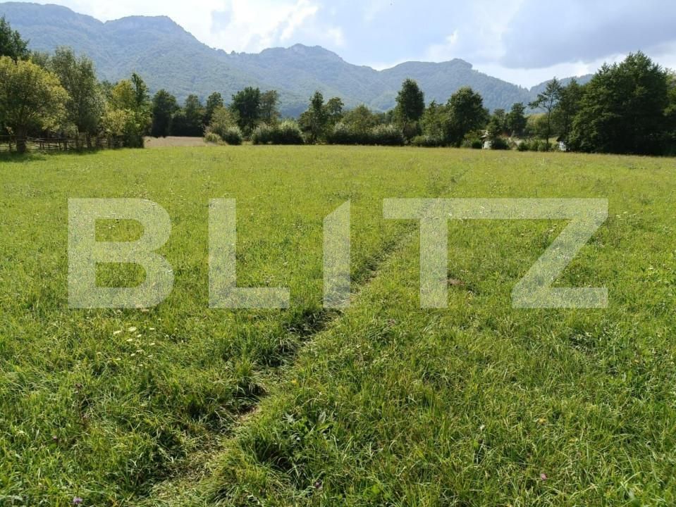 Teren de vânzare Zarnesti - 151037TV | BLITZ Brașov | Poza2