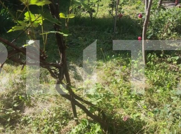 Casa de vânzare 4 camere Sacele - 151044CV | BLITZ Brașov | Poza3