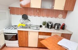 VANZARE URGENTA ! Garsoniera de vanzare , 26 mp utili, chiriasi, GHEORGHENI