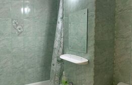 Apartament 1 Camera, 30mp, Manastur, zona Mehedinti