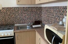 Apartament 1 Camera, 30mp, Manastur, zona Mehedinti