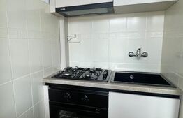 Garsonieră, recent renovată, lângă stația de autobuz