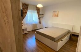 Garsoniera 28 mp, mobilata si utilata, zona Kaufland Marasti