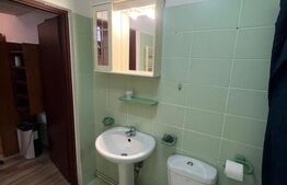 Garsoniera 30 mp, mobilata si utilata, zona La Terenuri