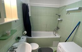 Garsoniera 30 mp, mobilata si utilata, zona La Terenuri