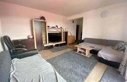 Apartament 3 camere 75 mp pet-friendly dressing, parcare, Golden Tulip