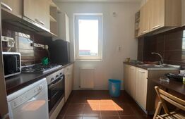 Apartament 3 camere 75 mp pet-friendly dressing, parcare, Golden Tulip