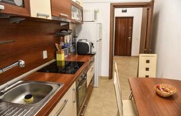 Apartament 1 camera cu terasa si parcare, 45mp, zona străzii Bistriței 