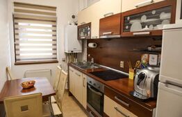 Apartament 1 camera cu terasa si parcare, 45mp, zona străzii Bistriței 