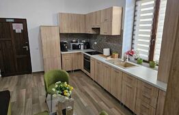 Apartament 1 camera, 50mp, zona strazii Vasile Alecsandri