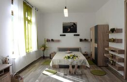 Apartament 1 camera, 50mp, zona strazii Vasile Alecsandri