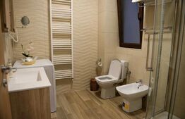 Apartament 1 camera, 50mp, zona strazii Vasile Alecsandri