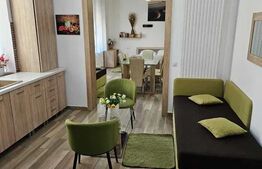 Apartament 1 camera, 50mp, zona strazii Vasile Alecsandri