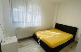 Apartament 1 camera, 36mp, petfriendly, zona Stejarului 