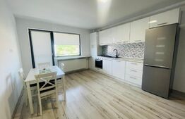 Apartament 1 camera, 36mp, petfriendly, zona Stejarului 