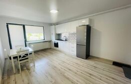 Apartament 1 camera, 36mp, petfriendly, zona Stejarului 