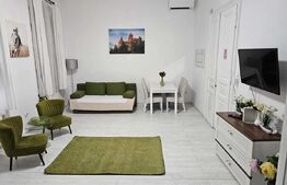 Apartament parter 1 camera, 50mp, ultracentral, strada Avram Iancu