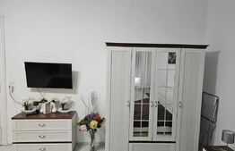 Apartament parter 1 camera, 50mp, ultracentral, strada Avram Iancu