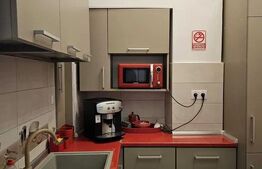 Apartament parter 1 camera, 50mp, ultracentral, strada Avram Iancu