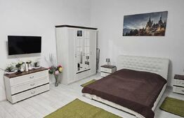 Apartament parter 1 camera, 50mp, ultracentral, strada Avram Iancu