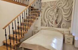 Apartament romantic 1 camera, 40mp, ultracentral, zona strazii Avram Iancu