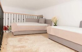 Apartament romantic 1 camera, 40mp, ultracentral, zona strazii Avram Iancu