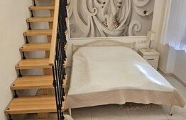 Apartament romantic 1 camera, 40mp, ultracentral, zona strazii Avram Iancu