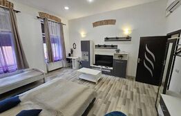 Apartament cochet 1 camera, 45mp, ultracentral, zona strazii Avram Iancu
