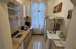 Apartament cochet 1 camera, 45mp, ultracentral, zona strazii Avram Iancu
