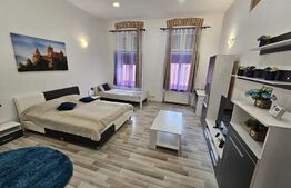 Apartament cochet 1 camera, 45mp, ultracentral, zona strazii Avram Iancu